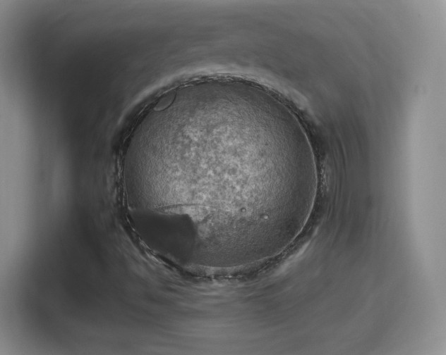 X0000114421494200910231155