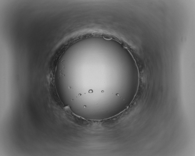 X0000114421495200910231155