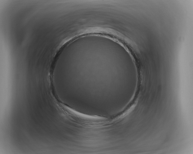 X0000114421497200910231155