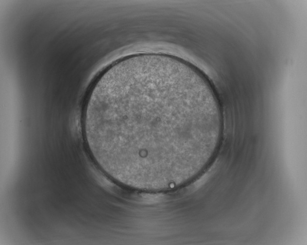 X0000114421498200910231155