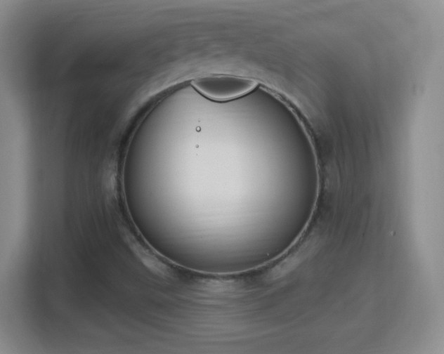 X0000114421499200910231156