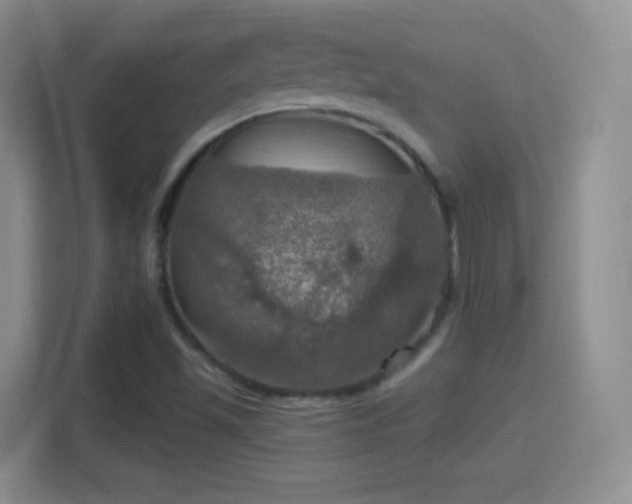 X0000114421501200910231156