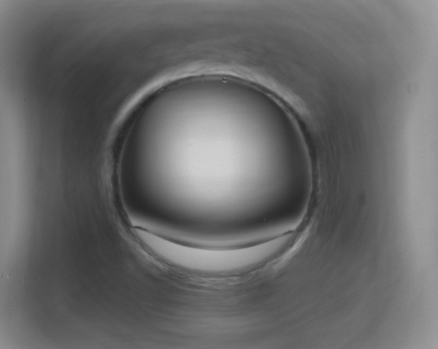 X0000114421502200910231156
