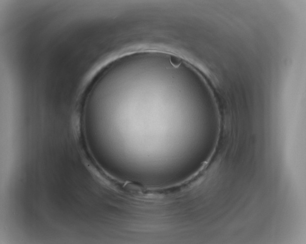 X0000114421503200910231156