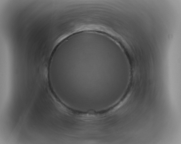 X0000114421505200910231156