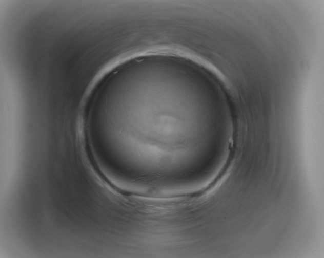 X0000114421506200910231156