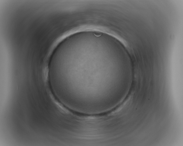 X0000114421507200910231156