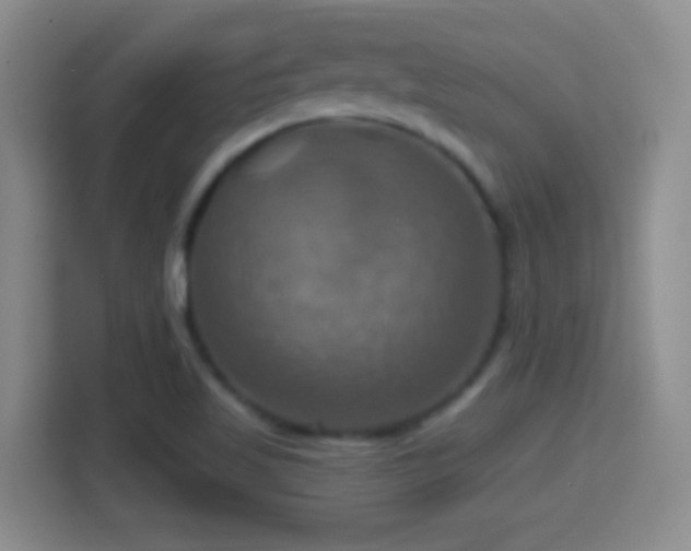 X0000114421509200910231156