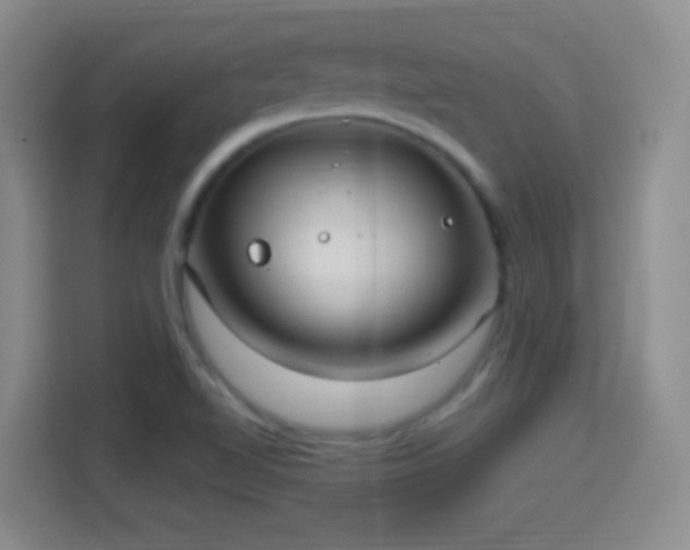 X0000114421510200910231156