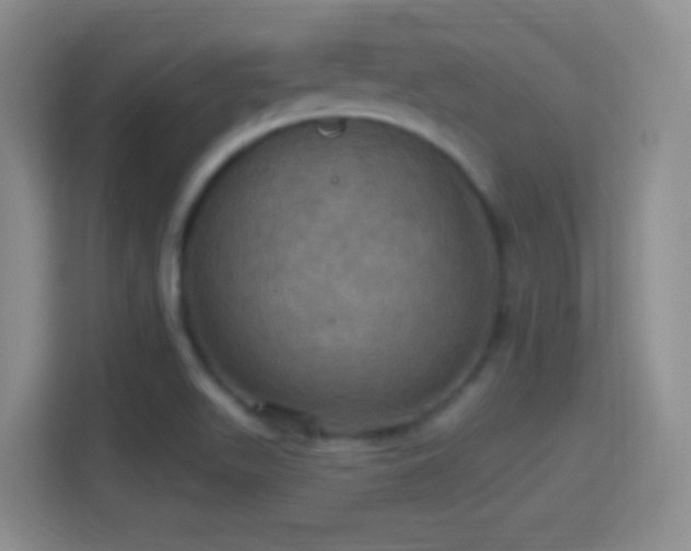 X0000114421511200910231156