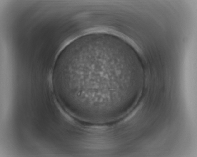 X0000114421513200910231156