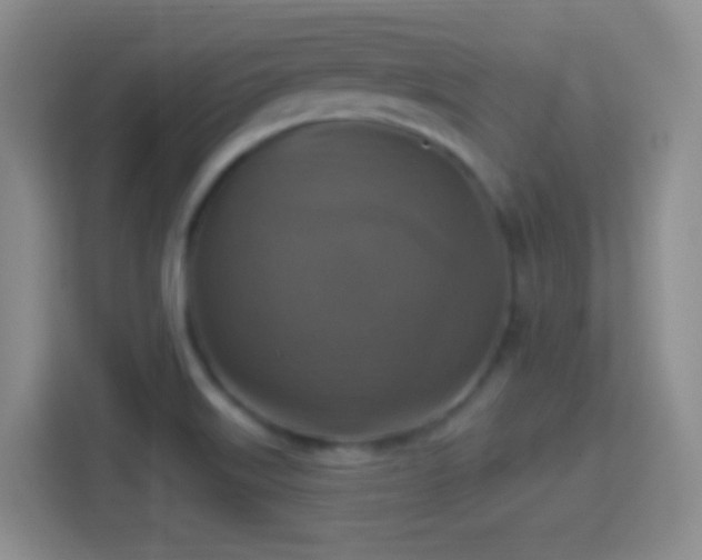 X0000114421515200910231156