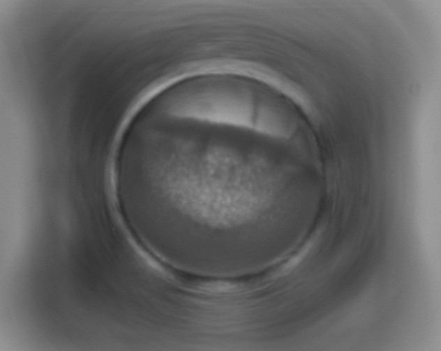 X0000114421517200910231156