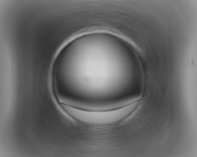 X0000114421518200910231156