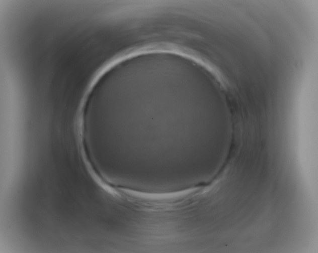 X0000114421519200910231156