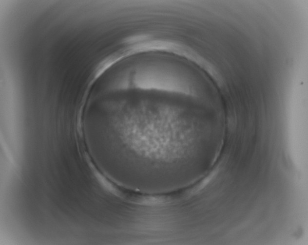 X0000114421521200910231156