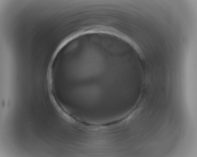 X0000114421522200910231156