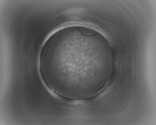 X0000114421523200910231156