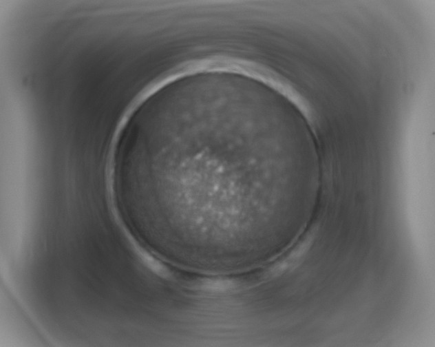 X0000114421525200910231156