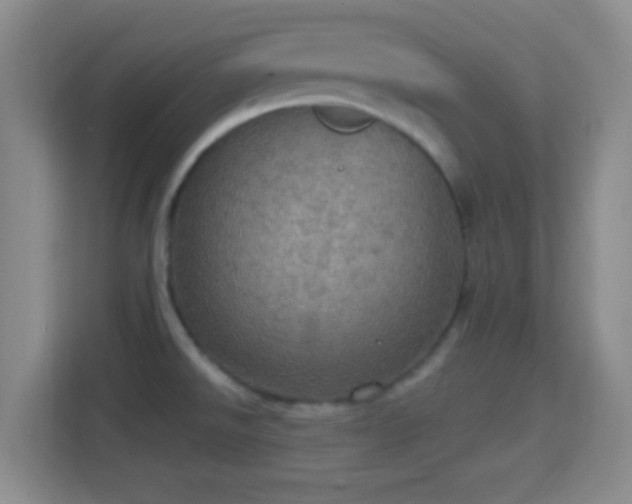 X0000114421526200910231156