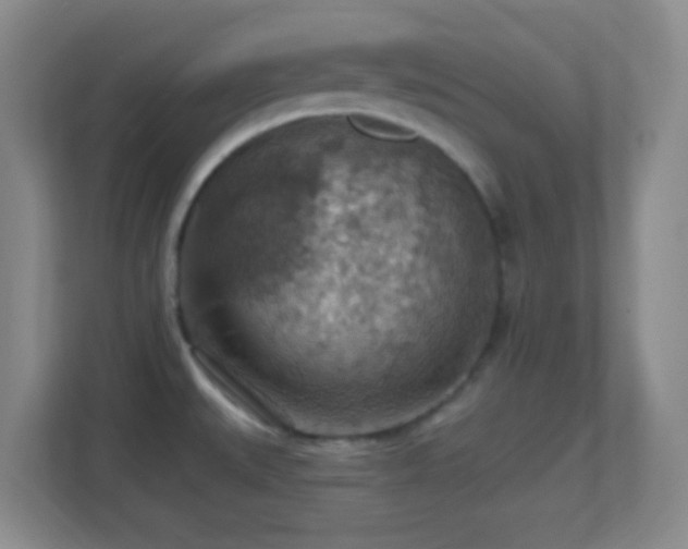 X0000114421527200910231156