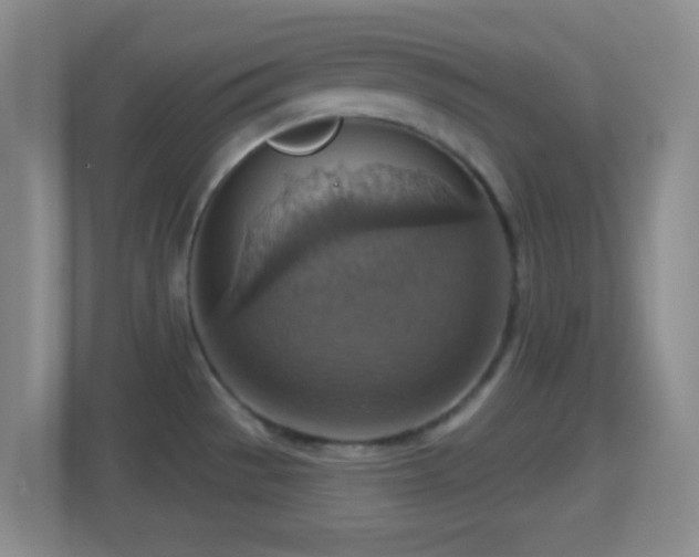 X0000114421529200910231156