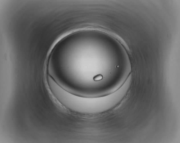 X0000114421530200910231156