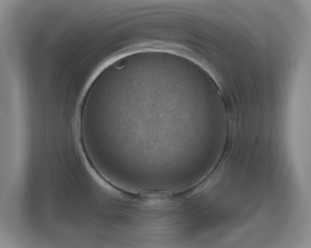 X0000114421531200910231156