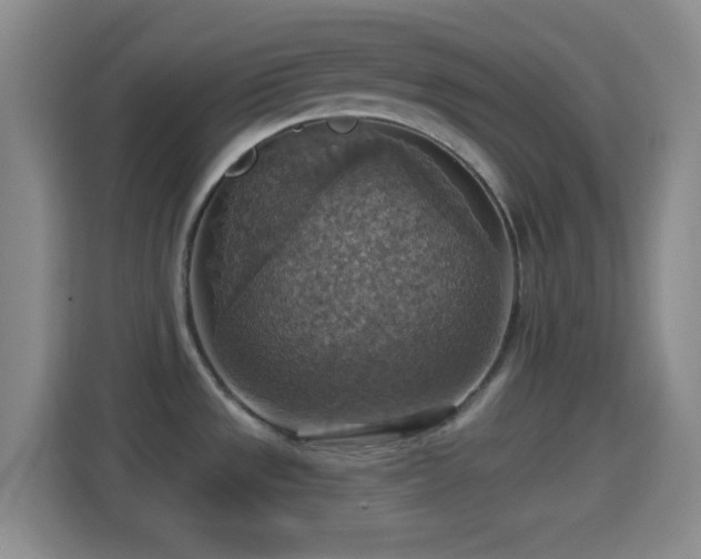 X0000114421533200910231156
