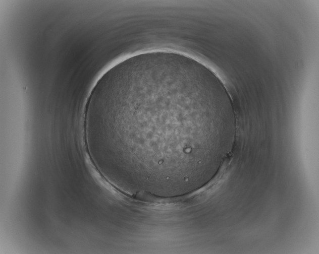 X0000114421534200910231156