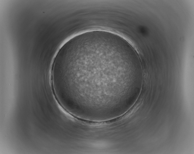 X0000114421535200910231156