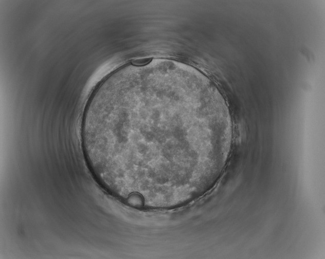 X0000114420004200911061632