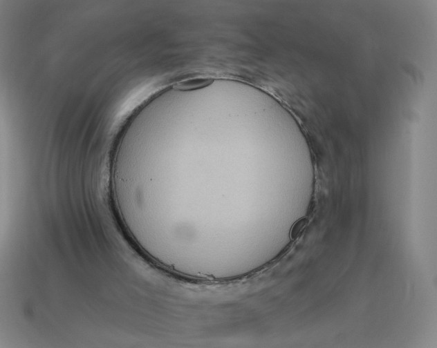 X0000114420005200911061632