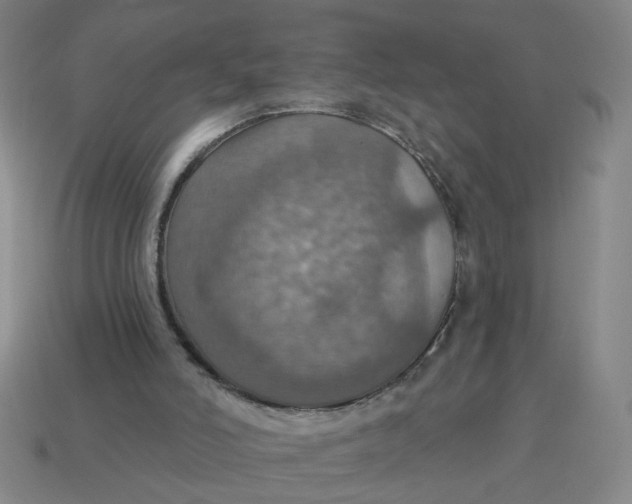 X0000114420006200911061632