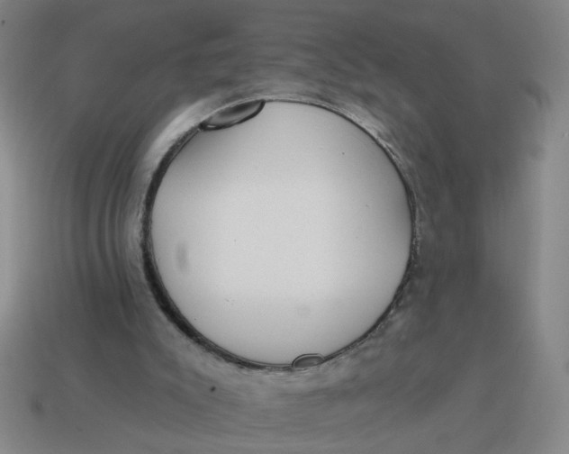 X0000114420007200911061632