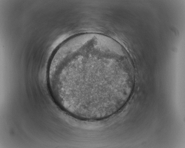 X0000114420008200911061632