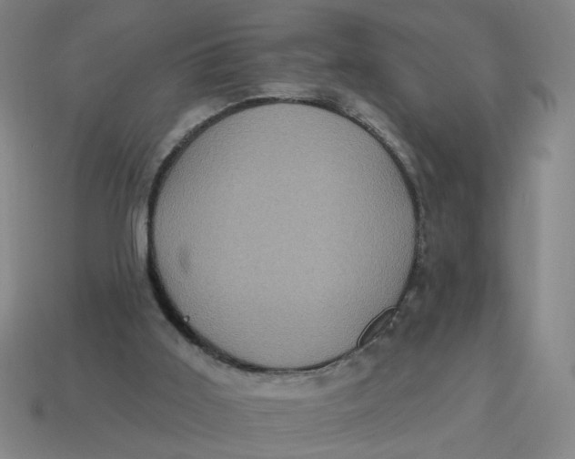 X0000114420011200911061632