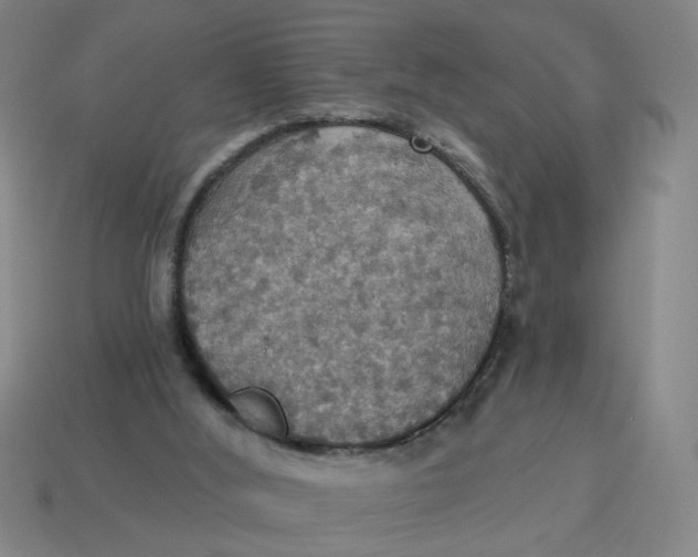 X0000114420012200911061632