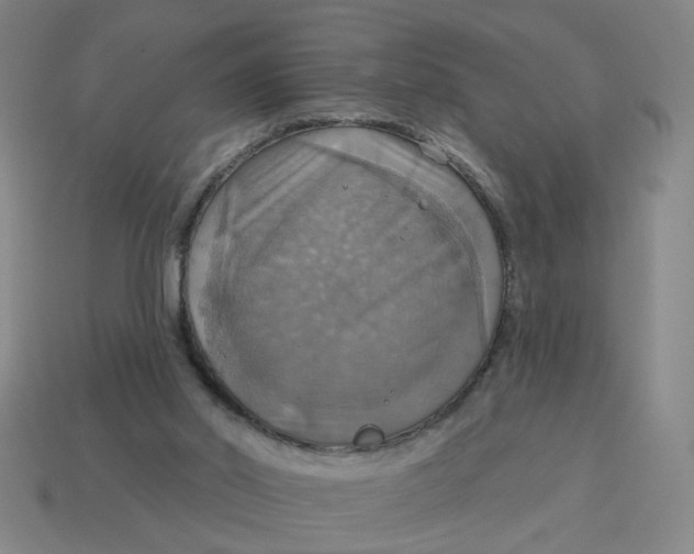 X0000114420014200911061632