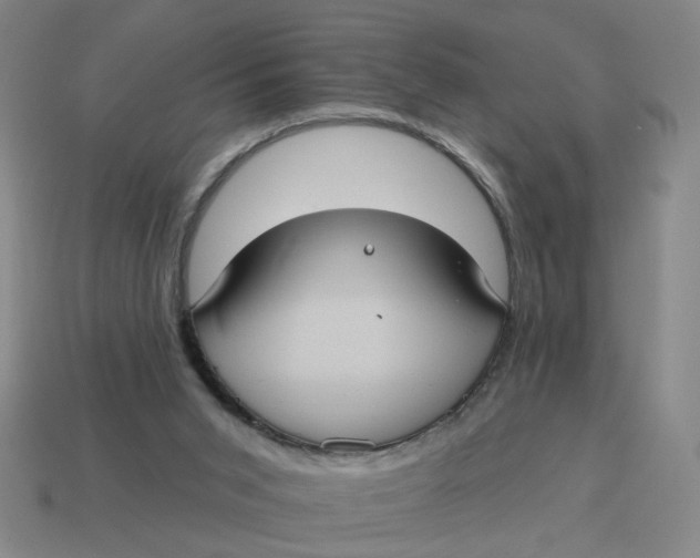 X0000114420015200911061632