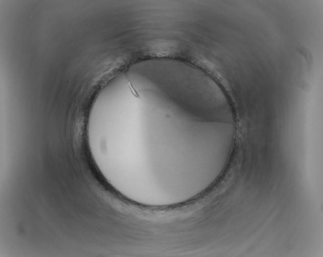 X0000114420018200911061632