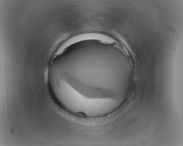 X0000114420019200911061632