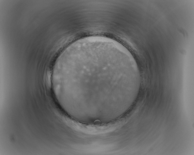 X0000114420022200911061632