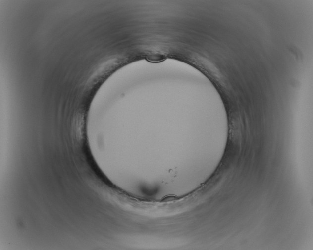 X0000114420023200911061632
