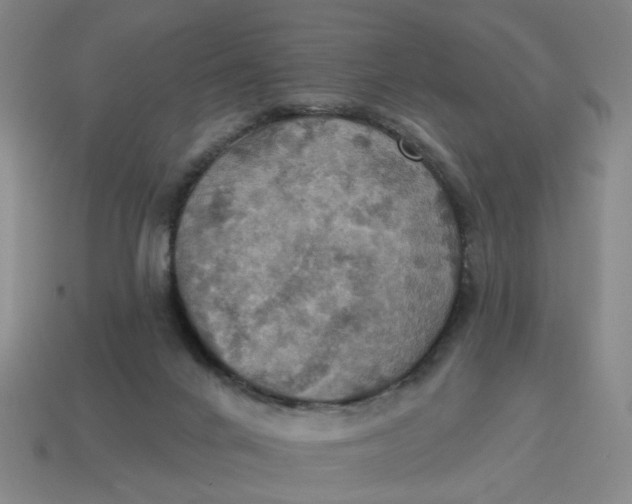 X0000114420024200911061632
