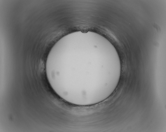 X0000114420025200911061632