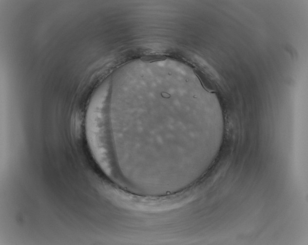 X0000114420026200911061632