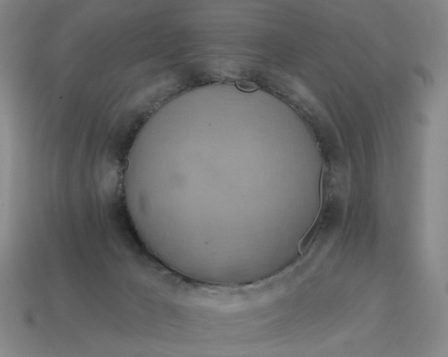 X0000114420029200911061631