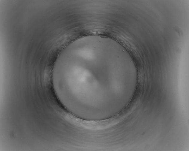 X0000114420030200911061631
