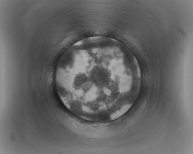 X0000114420032200911061631
